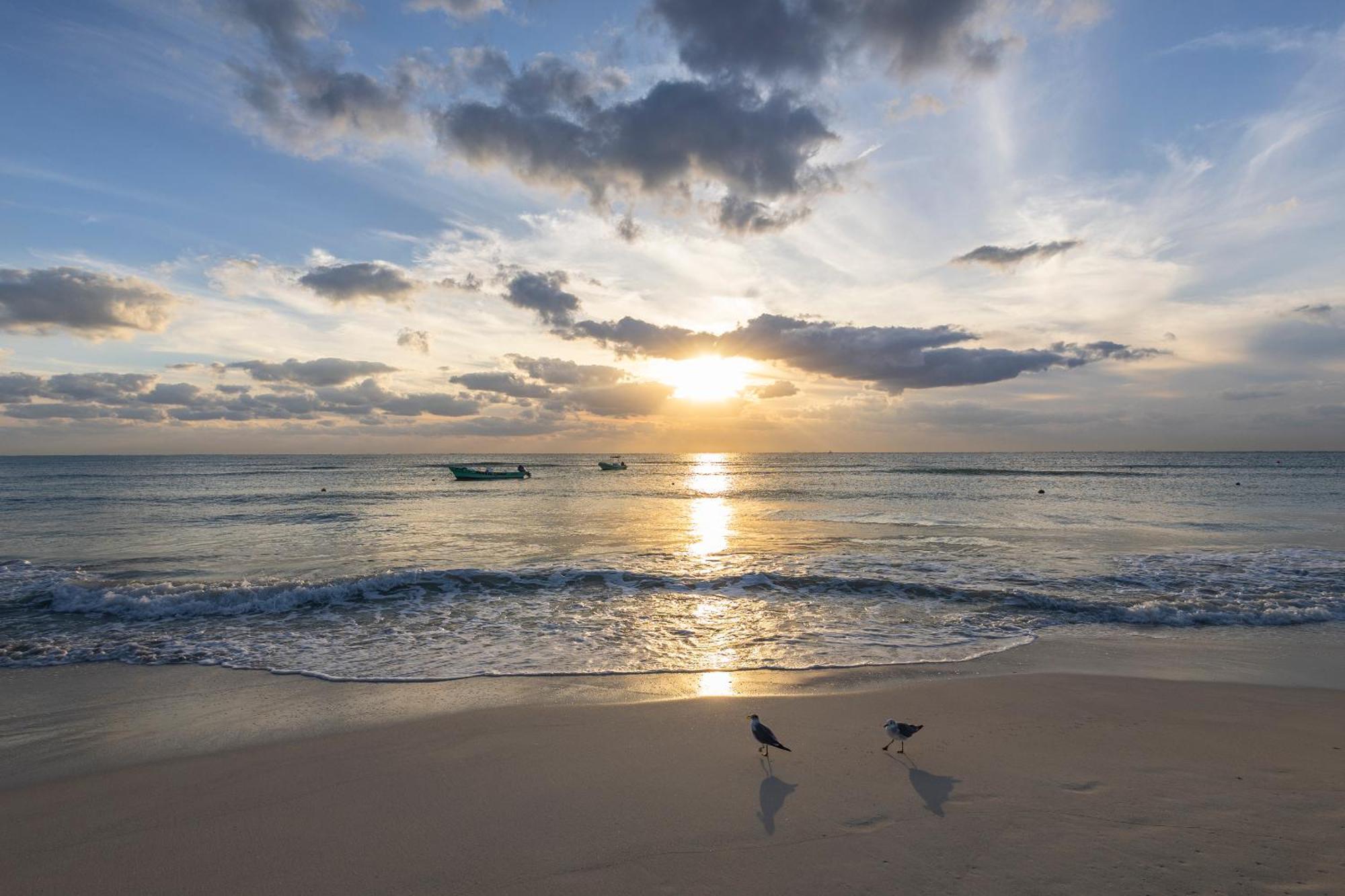 Areia Playa Del Carmen - Beach Front Hotel Экстерьер фото